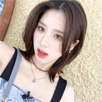 来自收容所的爱